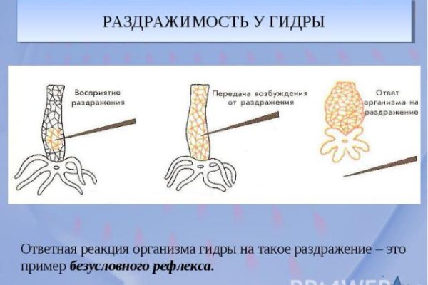 BlackSprutruzxpnew4af union зеркала