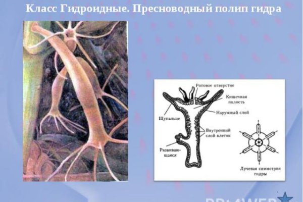 Омг онион сайт моментальных покупок