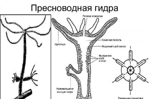 Омг гидра ссылка