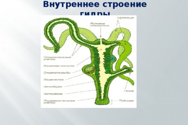 Как зайти на сайт меги в торе