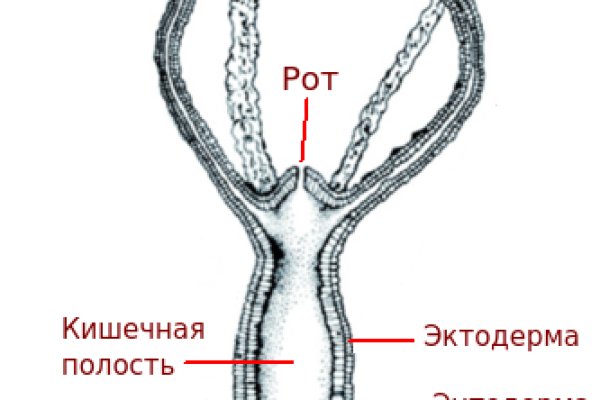 Кракен вход kraken6.at kraken7.at kraken8.at